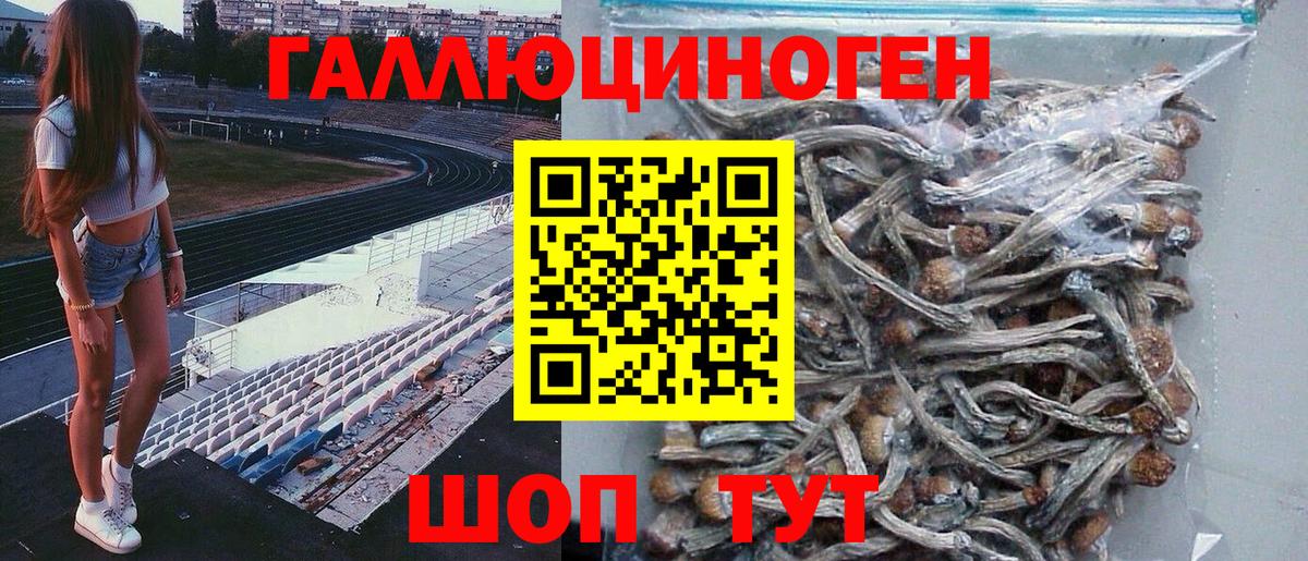 Псилоцибиновые грибы мицелий Назарово